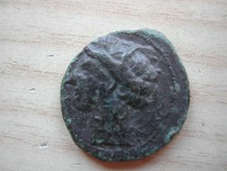 DSCN8278.JPG
