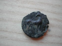 DSCN8272.JPG