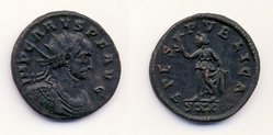 Carus gesamt1.jpg
