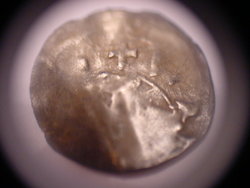 DSC02134.JPG