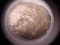 DSC02132.JPG