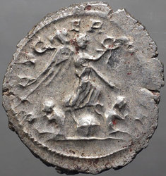 gallienus_goebl874l_rv.jpg