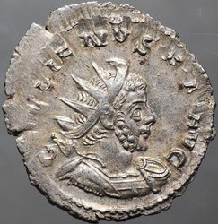 gallienus_goebl874l_av.jpg