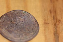 IMG_0130 (Mittel).JPG