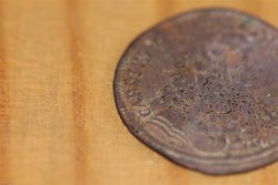 IMG_0131 (Mittel).JPG