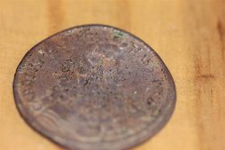 IMG_0132 (Mittel).JPG