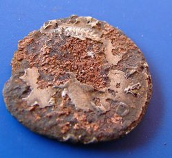 1259_fouree_b_unknown.jpg