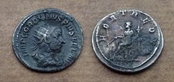 Gordian mit Verkrustungen.jpg