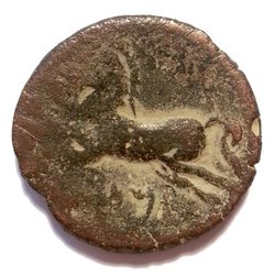 148-118 v.Chr König Micipsa-Numidien Rv.jpg