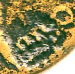 Vespasian COS III Detail.jpg