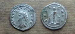Claudius Gothicus Antoninian SALVS AVG RIC temp 1051.jpg