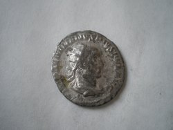 IMGP1099.JPG