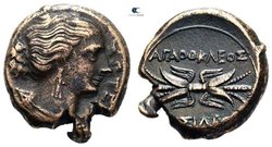 savoca-coins n.jpg