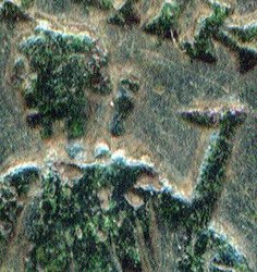 detail.jpg