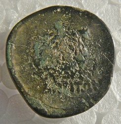 Zeus-ReiterRS.jpg