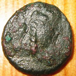 elefant rücks.JPG