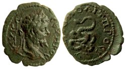 Sept.Severus.jpg