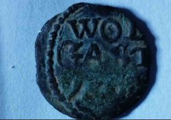 wolg-1.jpg