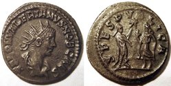 M0_0631_Saloninus_slim.jpg