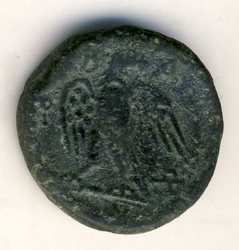 Unbenannt 1-Adler RS.jpg