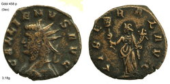 gallienus liberal avg8.jpg