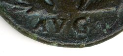 Detail_AVG3.jpg